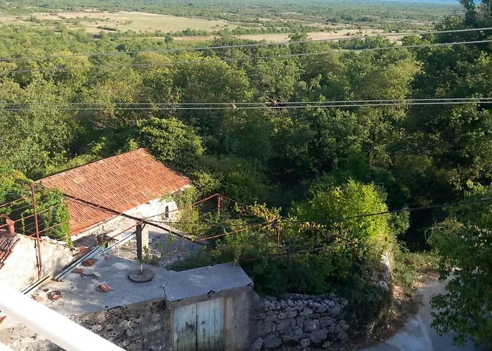 Sonja تريبينيي