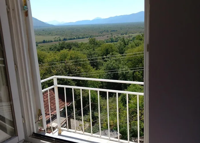 Sonja تريبينيي